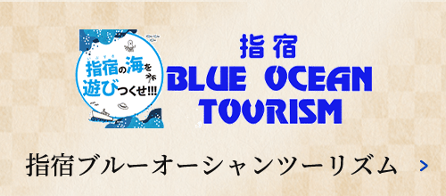 指宿 BLUE OCEAN TOURISM 指宿ブルーオーシャンツーリズム