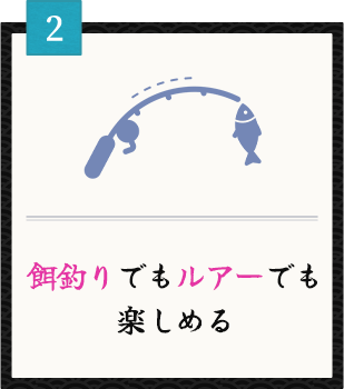 餌釣りでもルアーでも楽しめる